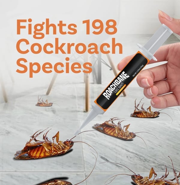 🔥Limited Time Offer 49% OFF🔥 RoachGuard Gel Bait