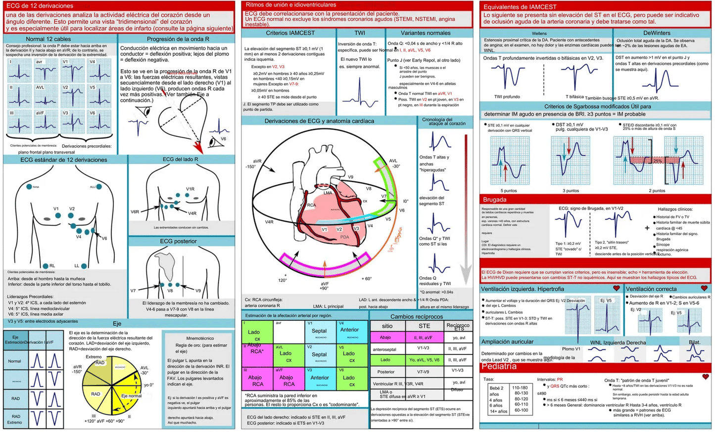 EKG Pocket Guide