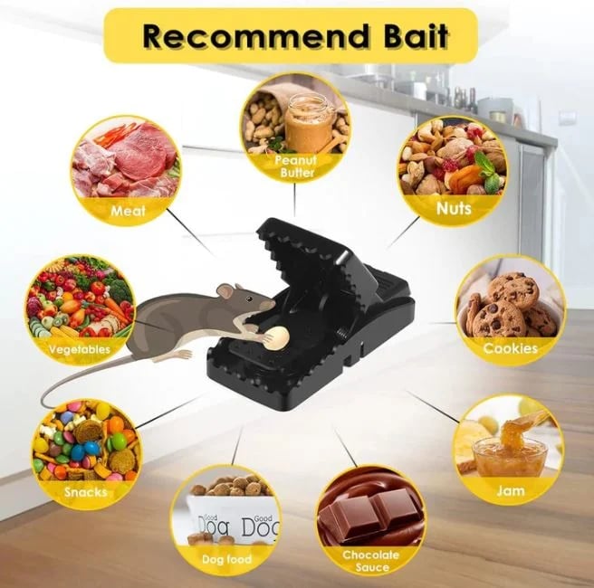 🔥Highly Sensitive Reusable Mouse Trap🌙
