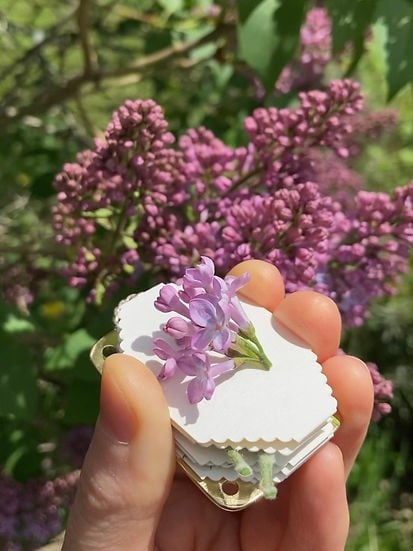 🌸Spring sale🌸Micro Flower Press