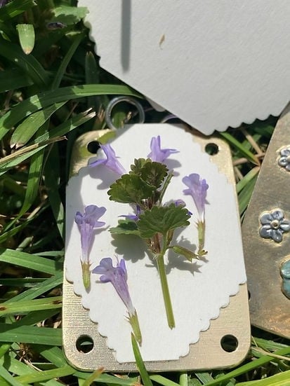 🌸Spring sale🌸Micro Flower Press